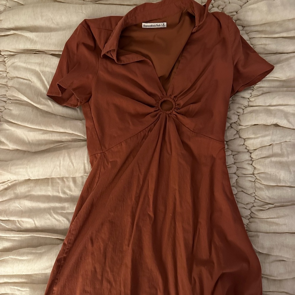 Abercrombie & Fitch Burnt Orange Collared Mini Dress